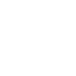 Viva Verde Logo